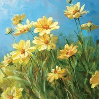 Summer Field I Fine Art Print