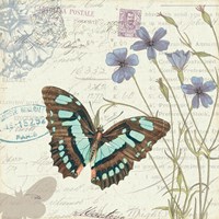 Papillon Tales I Fine Art Print