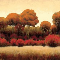 Autumn Forest II Fine Art Print