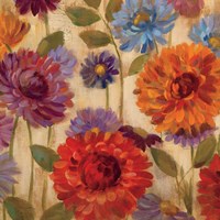 Rainbow Dahlias Crop II Fine Art Print