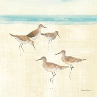 Sand Pipers Square I Fine Art Print