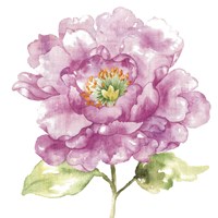 Water Flower I Fine Art Print