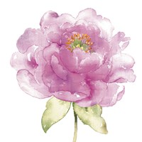 Water Flower II Fine Art Print