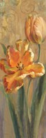 Parrot Tulips on Gold I Fine Art Print