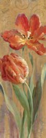 Parrot Tulips on Gold II Fine Art Print