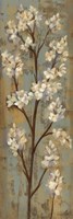 Almond Branch I Fine Art Print