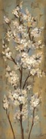 Almond Branch II Fine Art Print