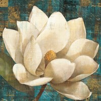 Magnolia Blossom Turquoise Fine Art Print