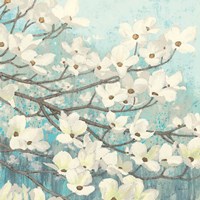Dogwood Blossoms II Fine Art Print