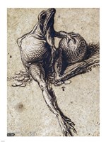 A Frog Sitting on Coins and Holding a Sphere by Jacques De gheyn - various sizes