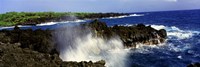 Wainanapanapa State Park Maui HI USA Fine Art Print
