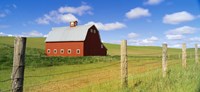 Barn in a field Fine Art Print