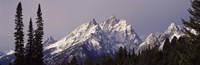 Cathedral Group Mountains, Grand Teton National Park, Wyoming Fine Art Print