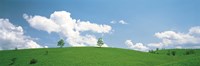 Grassland with blue sky and clouds Fine Art Print