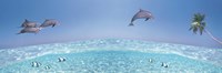 Dolphins Leaping In Air by Panoramic Images - 27" x 9"