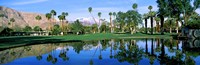 Reflection of trees on water, Thunderbird Country Club, Rancho Mirage, Riverside County, California, USA Fine Art Print