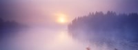 Fog over a river at dawn, Vuoksi River, South Karelia, Finland Fine Art Print