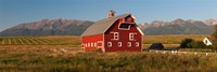 Barn in a field with a Wallowa Mountains in the background, Enterprise, Wallowa County, Oregon, USA Fine Art Print