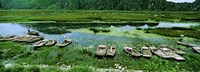 Boats in Hoang Long River, Kenh Ga, Ninh Binh, Vietnam Fine Art Print