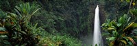 Akaka Falls State Park, Hawaii, USA Fine Art Print