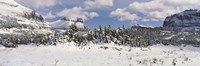 Mountains with trees in winter, Logan Pass, US Glacier National Park, Montana, USA Fine Art Print
