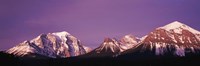 Mt Temple Banff Provincial Park Canada by Panoramic Images - 36" x 12" - $34.99