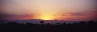 Sunset over a landscape, Tarangire National Park, Tanzania Fine Art Print