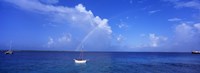 Sailboat Bonaire Netherlands Antilles Fine Art Print