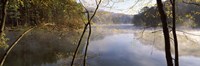 Morning mist around a lake, Lake Vesuvius, Wayne National Forest, Ohio, USA Fine Art Print