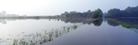 Standing floodwater, Mississippi River, Illinois, USA Fine Art Print