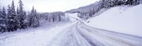 Snow covered road in winter, Haines Highway, Yukon, Canada Fine Art Print