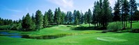 Golf course, Edgewood Tahoe Golf Course, Stateline, Douglas County, Nevada, USA Fine Art Print