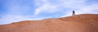 Biker on Slickrock Trail, Moab, Grand County, Utah, USA by Panoramic Images - 36" x 12"