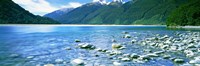 Rocks in a lake, Mackenzie Country, South Island, New Zealand Fine Art Print