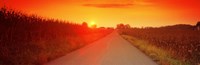 Country road at sunset, Milton, Northumberland County, Pennsylvania, USA Fine Art Print