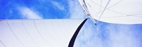 Low angle view of sails on a Sailboat, Gulf of California, La Paz, Baja California Sur, Mexico Fine Art Print