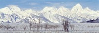 Grand Teton Range in winter, Wyoming, USA Fine Art Print