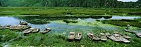 Boats in Hoang Long River, Kenh Ga, Ninh Binh, Vietnam by Panoramic Images - 36" x 12"