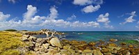 Rocks at the coast, Aruba by Panoramic Images - 36" x 12", FulcrumGallery.com brand