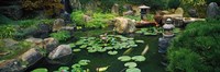 Japanese Garden at University of California by Panoramic Images - various sizes