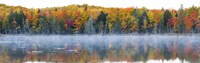 Trees in autumn at Lake Hiawatha, Alger County, Upper Peninsula, Michigan, USA Fine Art Print