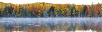 Trees in autumn at Lake Hiawatha, Alger County, Upper Peninsula, Michigan, USA Fine Art Print