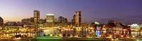 USA, Maryland, Baltimore, City at night viewed from Federal Hill Park Fine Art Print