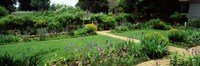 USA, Virginia, Williamsburg, colonial garden Fine Art Print