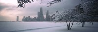 Snow covered tree on the beach with a city in the background, North Avenue Beach, Chicago, Illinois, USA Fine Art Print