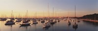 Sunset & harbor Chicago IL USA Fine Art Print