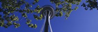 Space Needle Maple Trees Seattle Center Seattle WA USA Fine Art Print