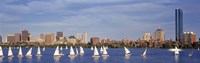 View of boats on a river by a city, Charles River,  Boston Fine Art Print