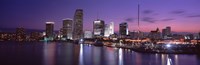 Night Skyline Miami FL USA Fine Art Print