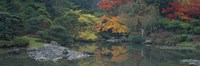 Pond view in the Japanese Garden Seattle WA Fine Art Print